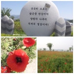 양평나루께공원에서 치러진 장애인 파크골프대회