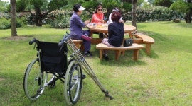 곡성세계장미축제 개장…아쉬운 장애인 편의