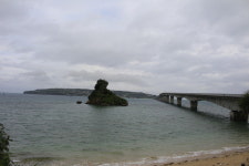 처음 접한 일본 시각장애인 안내견 화장실