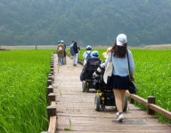배리어프리 길에서 예술을 키우다