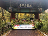 힐링 숲 체험으로 건강 UP!