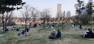 뭉치면 죽고 흩어지면 산다 코로나19의 교훈