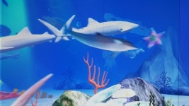 새로운 무장애 여행 명소 ‘태화강 동굴피아’