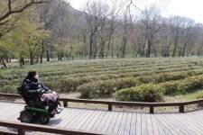 휠체어 타고 여행, 열린관광지 고창 ‘선운사’