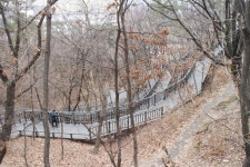노원구 영축산 무장애 순환산책로 가보니