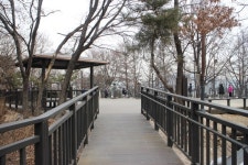 노원구 영축산 무장애 순환산책로 가보니