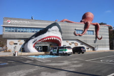 아쉬운 땅끝해양자연사박물관 장애인 편의