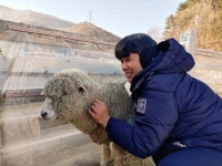 세계 장애인의 날 맞아 시청각장애인과 양떼목장 나들이