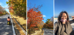 휠체어 타고도 제주 단체여행 잘 다녀왔습니다