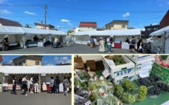 정신장애인 회복‧재활 대안 사회적 농업, 갈길 먼 한국