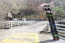 전국 최우수 금산군 무장애나눔길 장애인 이용 편할까?