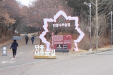 장애인 이용 불편, 천안 독립기념관 단풍나무숲길 공중화장실