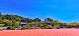 하석미와 떠나는 무장애 여행지  강릉 오죽헌 