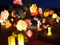 달구벌관등놀이 개막...내일 제등행진