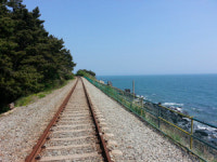 동해남부선 옛 철길, 시민주도로 개발해야