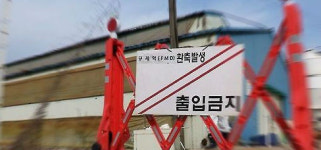충남 논산에서 발생한 구제역 의심 돼지..양성