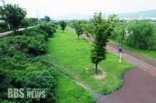 울산 중구 애견놀이터 조성