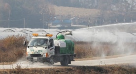 AI 전국적 확산... 살처분 완료 또는 예정 3백만 수 육박