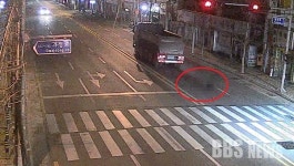 횡단보도 보행자 치고 달아난 운전자들 검거