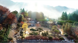 경기 성남 편백숲힐링토피아 등 웰니스 관광 25선..치유와 미용 등
