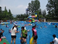[춘천BBS 아침세상 강원] 홍천 찰옥수수축제, 양구 배꼽축제, 화천 쪽배축제 이번 주말 개막
