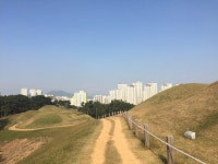 제8회 거칠산국 고분군 왕릉제 봉행