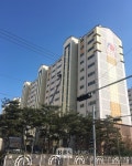 내일까지 포항 이재민 123가구 이주, 대상자 절반 이사 완료
