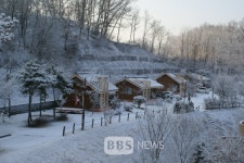 안동호반자연휴양림 비수기 사용료 반값