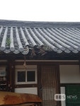 Ảnh kết quả tìm kiếm Naver 1