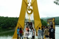 전남 장성군 옐로우 출렁다리  관광명소 인기몰이