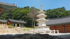 여름휴가, 산사에서 보내세요. 치악산 구룡사 템플스테이