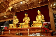 용수사 주지 설문 스님 대전 불교가 화합되지 않는다고요?