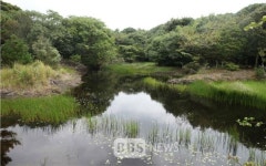 선흘곶자왈 람사르습지로 인증 쾌거