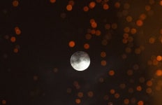 100개의 별 무리 프레세페 성단 17일 뜬다