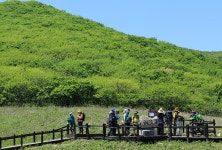 [포토뉴스]천상의 화원 인제 곰배령 입산통제 해제...관광객 발길 이어져