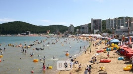 부산 일광, 임랑해수욕장 7월 1일 개장