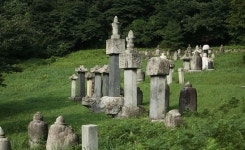 [특별 기획] 금강산 건봉사 ⑤ 새로운 천년! 평화와 치유