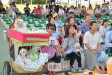 청도에서 반려동물을 위한 콘서트 열어