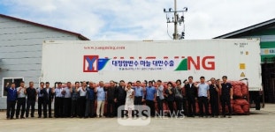 가격하락 고육지책으로 대만 수출되는 제주마늘