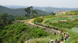 경기도 옛길, 같이 걷는 오산생태하천길