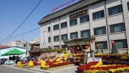 천태종 삼룡사의 국화 향기 가득한 창립 41주년