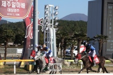 2019 최고의 제주마를 가린다… 14일 제주일마배 대상경주