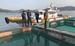 양식어류 저수온 피해예방 경남도 설연휴 비상근무