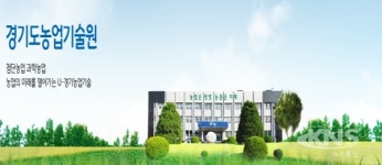 경기농업기술원, 다육식물 세덤·세데베리아 신품종 개발