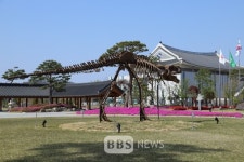코로나19로 침체된 문화예술활동 되살린다...경북도, 창작활동비 지원