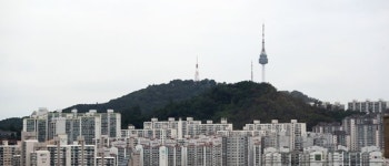 정부 