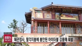 제주 사찰 태풍 피해 현장을 가다...다음주초 10호 태풍 또 상륙
