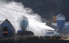 경기 용인 청미천 야생조류 분변, 고병원성 AI 또 확진