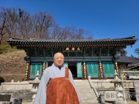 천년고찰 천안 광덕사, 호두나무 전시관 건립 추진