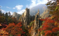 [박경수의 아침저널 클로징] 민족의 명산 금강산...박인수 그리운 금강산